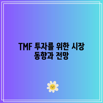 미국 국채 20년물 3배 레버리지 ETF (TMF) 투자