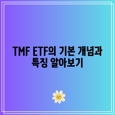 채권 투자의 새 흐름: 3배 레버리지 TMF ETF