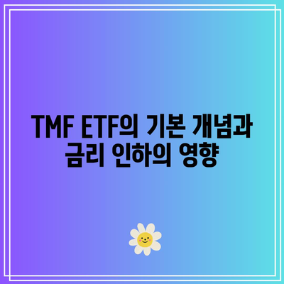 TMF ETF: 금리 인하와의 밀접한 관계 이해