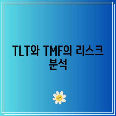 TLT, TMF ETF 비교: 수익률과 분석