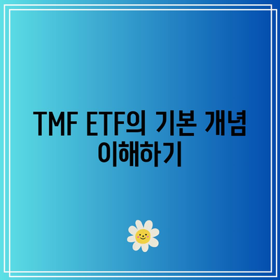 TMF ETF: 미국 국채의 급등에 대한 배팅