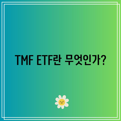 미국 장기 채권의 움직임을 추종하는 TMF ETF