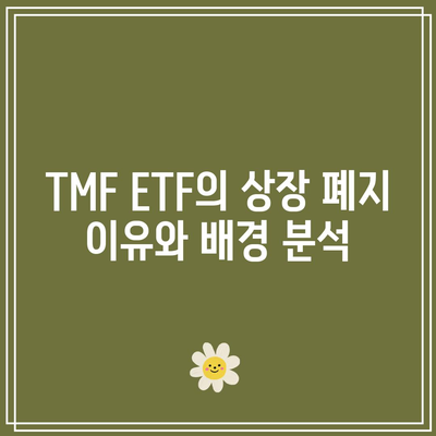 TMF ETF 상장 폐지: 미래를 향한 채권 ETF