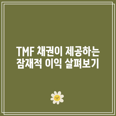 TMF 채권 비용과 잠재적 이익 탐구