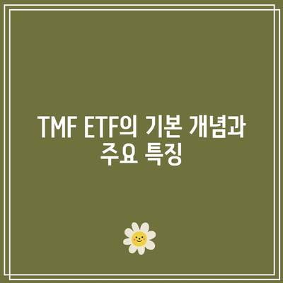 TMF ETF 투자의 장기적 전망과 기회 검토