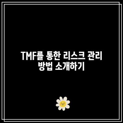 TMF를 활용한 금리 변동성 활용하기