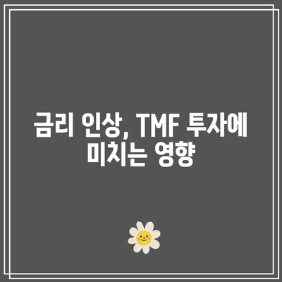 TMF: 금리 변화에 따라 크게 움직이는 위험성 알기