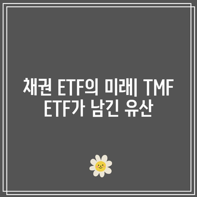 TMF ETF 상장 폐지: 미래를 향한 채권 ETF