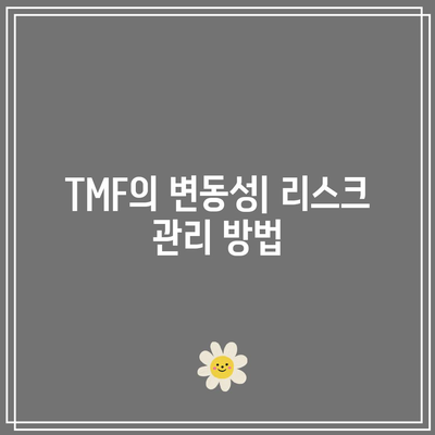 TMF: 금리 변화에 따라 크게 움직이는 위험성 알기