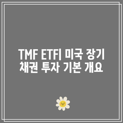 TMF ETF: 미국 장기 채권에 대한 3배 베팅의 이점과 위험점