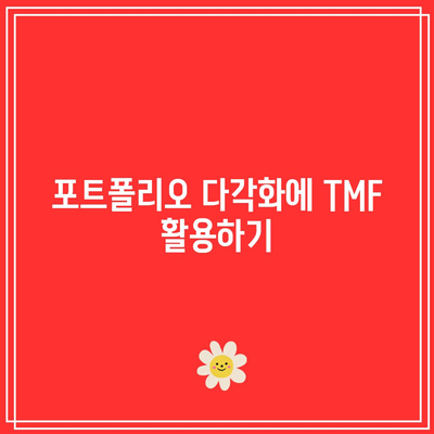 미국 국채 20년물 3배 레버리지 ETF (TMF) 투자